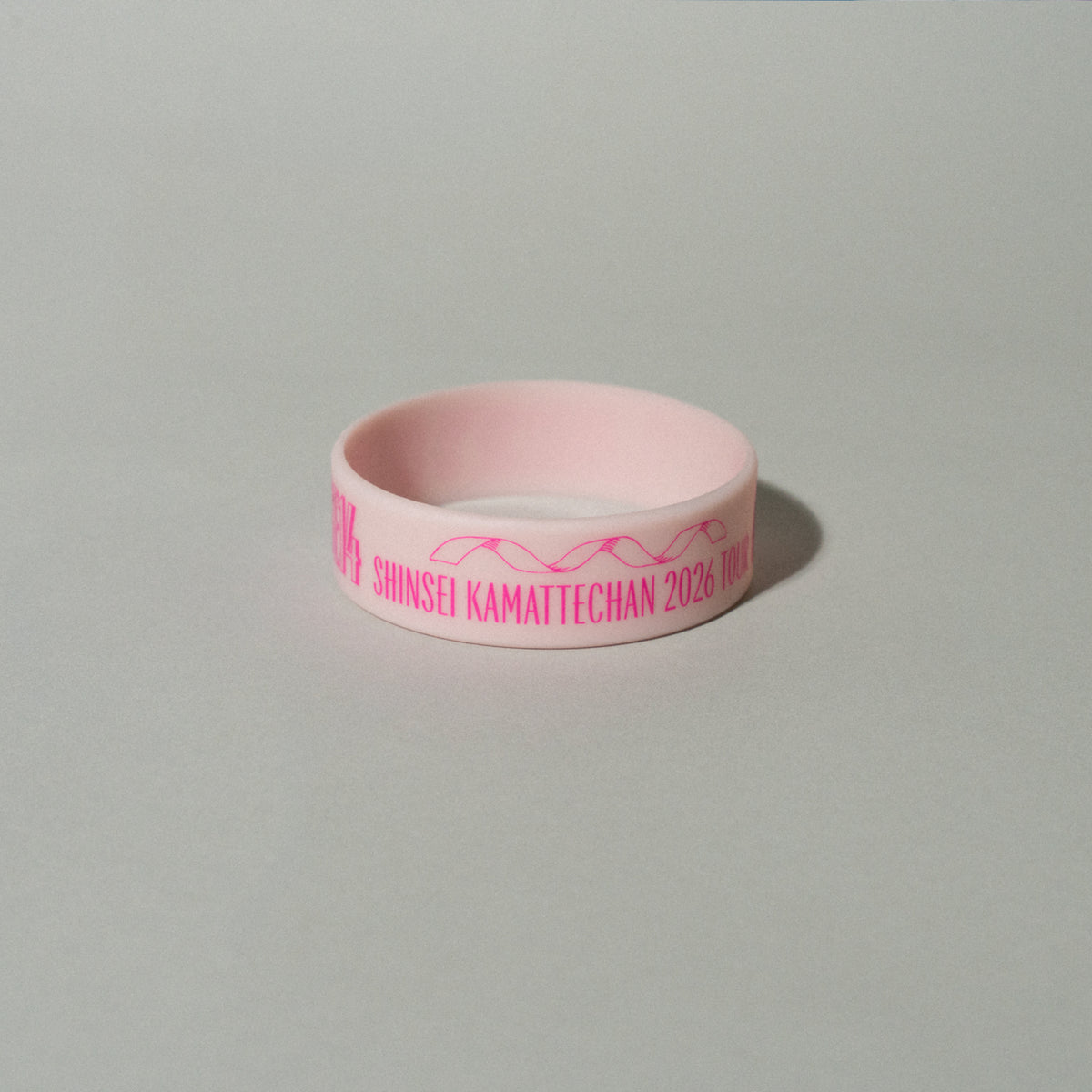 神聖かまってちゃん / “14歳の保健室” TOUR Rubber wristband