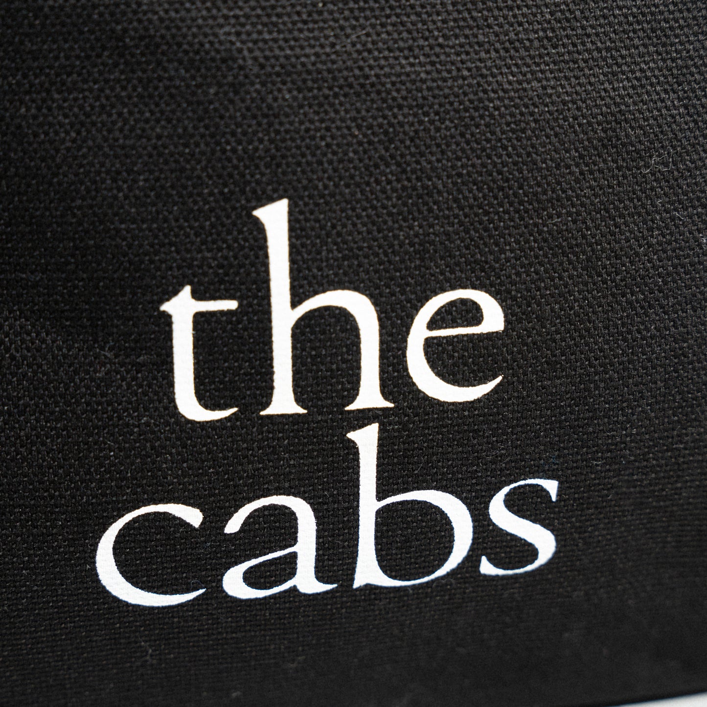 the cabs / ΔLogo Canvas Pouch