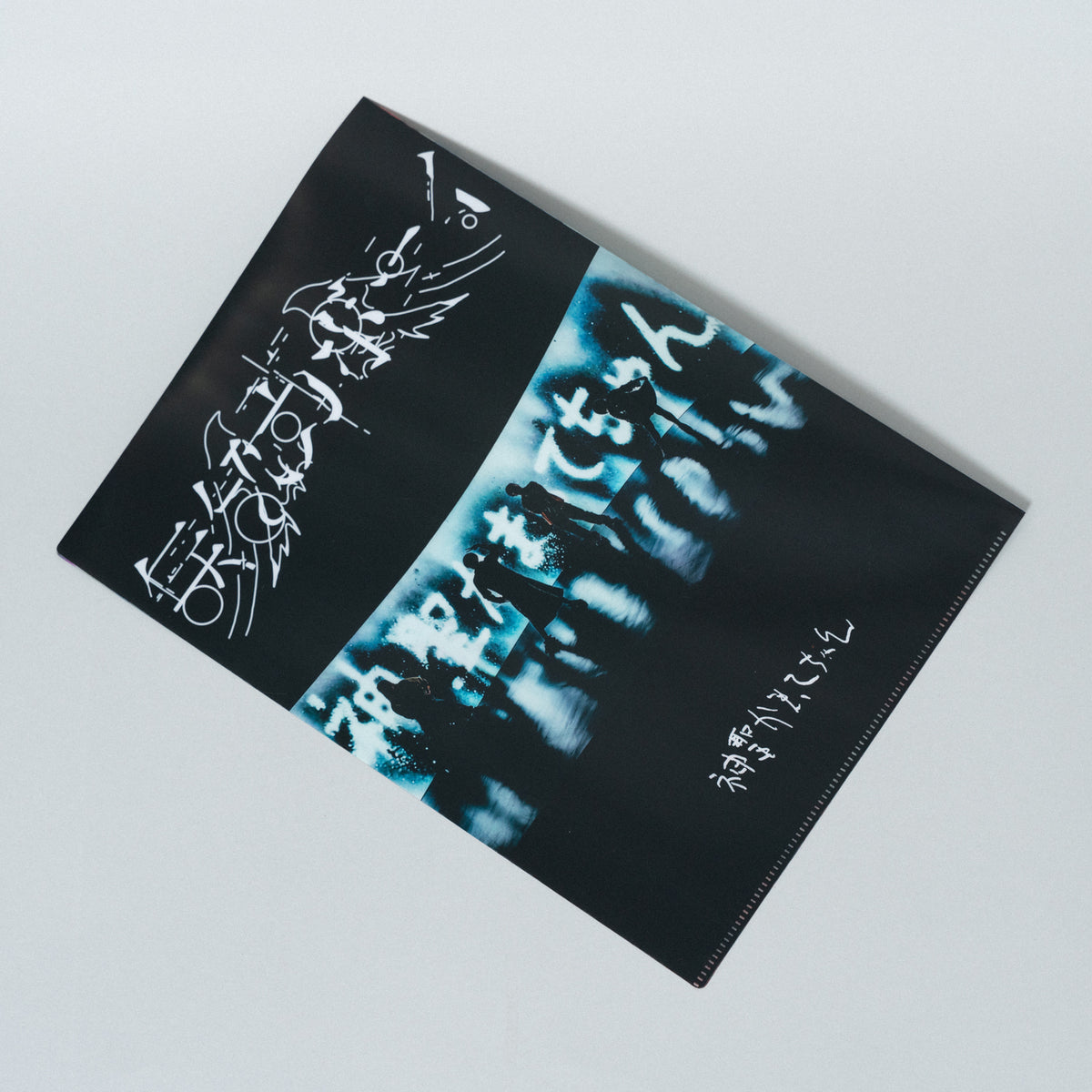 神聖かまってちゃん / "無気力ボーイ" Clear File