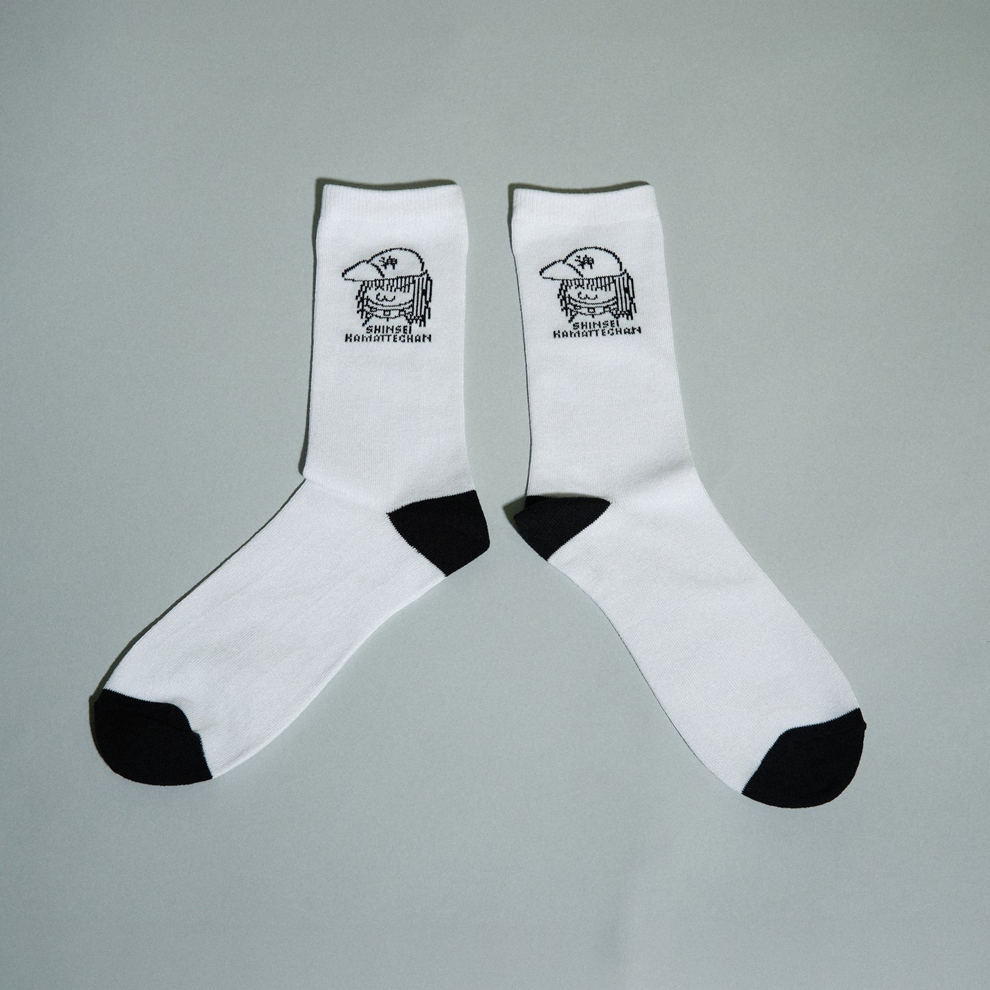 神聖かまってちゃん / “こんな世界なんて大っ嫌いだっ 憂鬱天使ツアー” Socks
