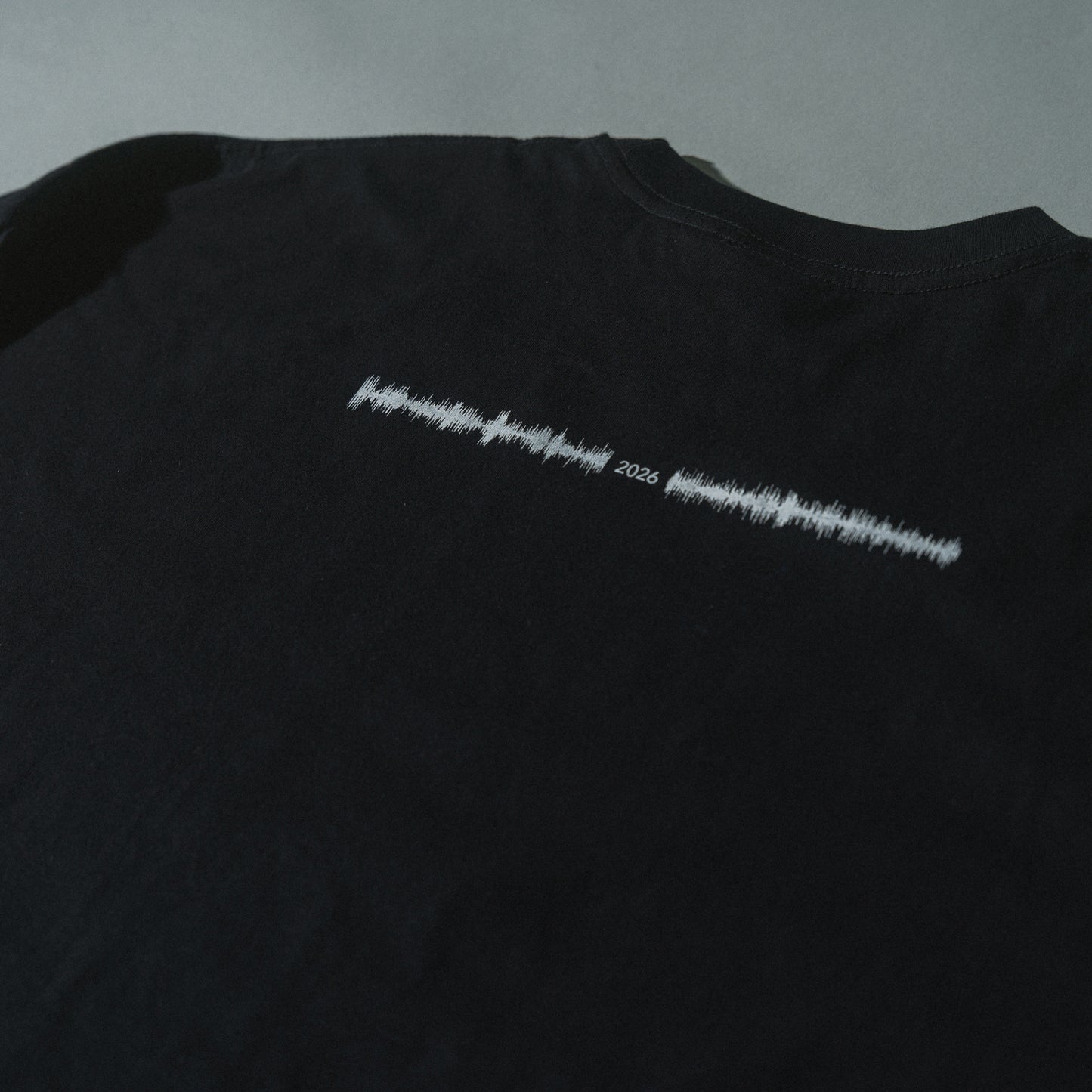 the cabs / the cabs 2026 BIG Long Sleeve T-Shirt